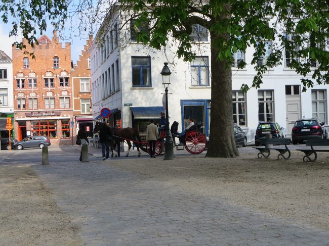 カポカポ・・・