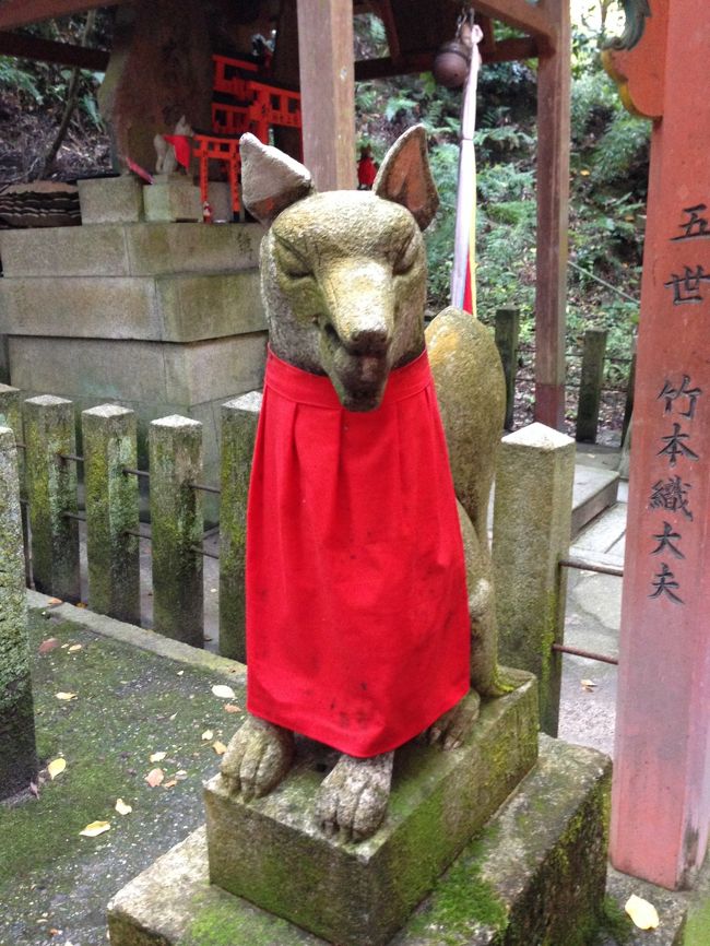 伏見稲荷は家族でも来たことがあります。<br />でも、お参りだけだったので、ちょっと侮ってました。<br /><br />ちょっとした山登りです！<br /><br />スニーカーで正解でした。