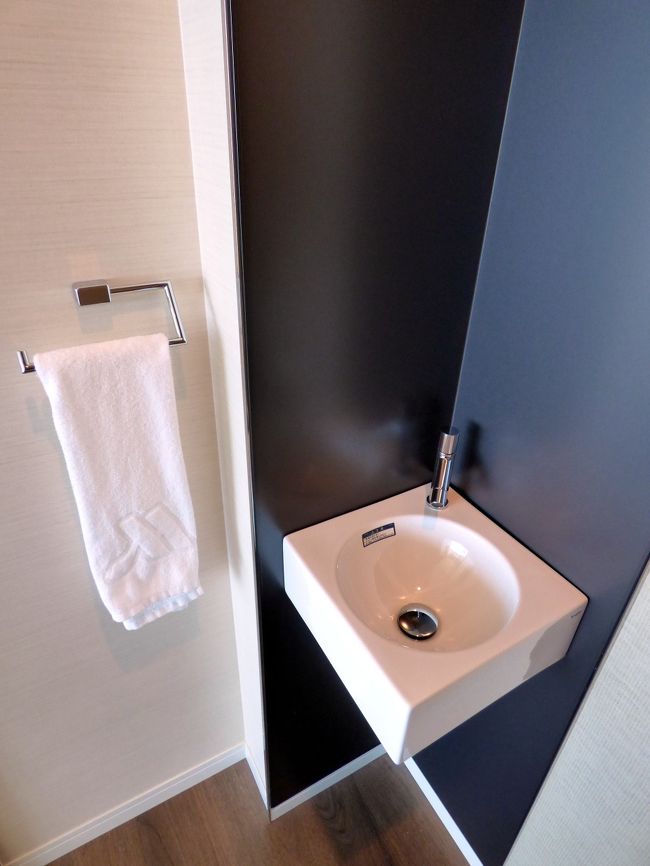 手洗いが付いています