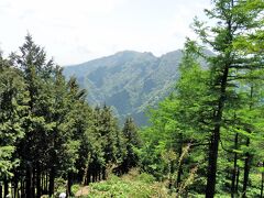 昼食後、武甲山頂からシラジクボへ下ります。
途中で見えた山は、正面が小持山、左側に大持山。 
