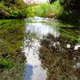 南阿蘇の湧水群めぐり　水の生まれる里を歩く