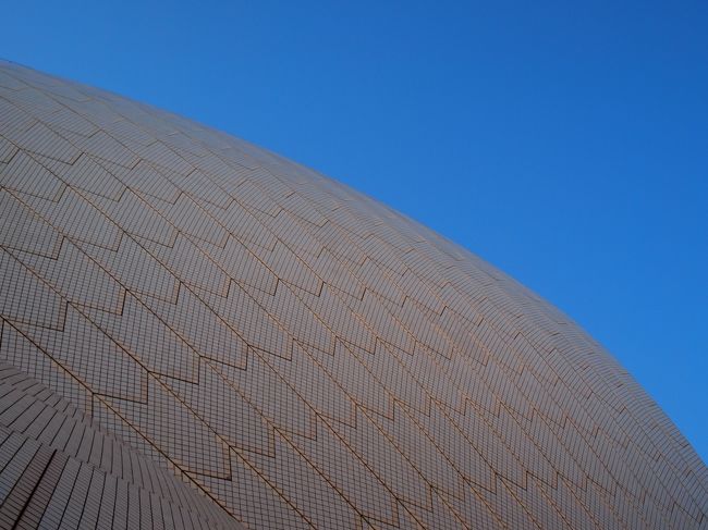 お馴染み白亜のオペラハウスは至近距離で見ると実は白に茶色っぽいタイルが交互にびっしり