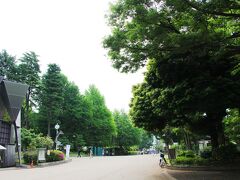 キトラ古墳壁画展が開催されているのは上野にあるトーハクこと東京国立博物館。
博物館の開館は9：30。
しかし、その1時間前に到着するように上野にやってきた。

今回のキトラ古墳壁画展は連日大盛況で、公式ツイッター情報によれば入館までの待ち時間が120分となる日もあるとのこと。
どうせ待つならば涼しい時間の方が楽だしね。という事で、朝の上野公園の中を散歩しがてら博物館へと向かう。
