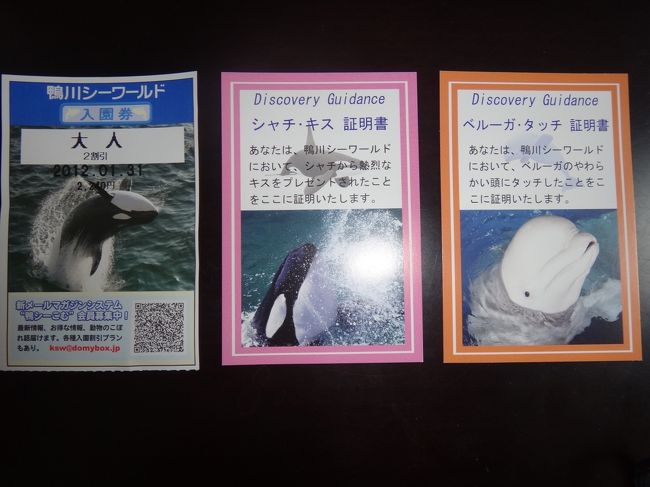 誕生日に 一番大好きな水族館 鴨川シーワールドへ 鴨川 千葉県 の旅行記 ブログ By ペルルさん フォートラベル 誕生日に 一番大好きな水族館 鴨川シーワールドへ 鴨川 千葉県 の旅行記 ブログ By ペルルさん フォートラベル