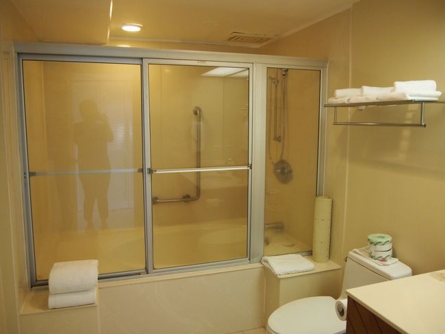 シャワーカーテンではなくサッシ。