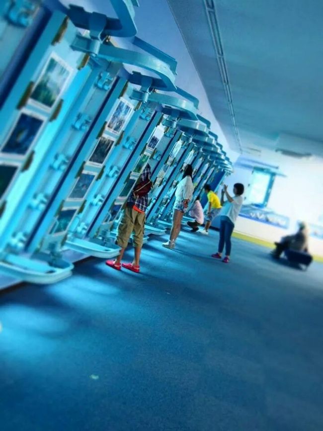 <br />海中公園<br />もう、外雨だし<br />こうゆうとこ行くしかなよね 笑<br /><br />まあ、いとこたちは楽しんでたからよし<br /><br />