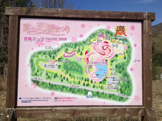 やっと着いた〜〜。<br />渋滞にはまること３０分以上。<br />本栖リゾートの中に入っても駐車場までの渋滞で、なかなか進みませんでした（泣）。<br />ちょっと出だしが遅れましたが、頑張って見て回るぞ〜！