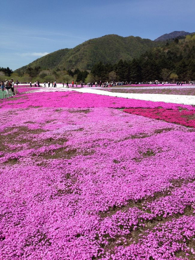 それでもこんなにきれいだよ〜！