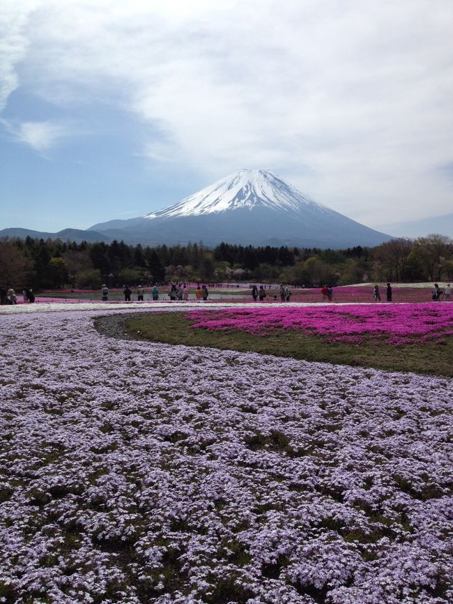 朝はすっきりしていたのに、筋状の雲がやってきてしまいました。<br />