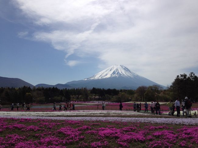 9時半を過ぎると、観光客（特に中国系）が一気に増えてきました。<br />あちらこちらで団体さんの記念撮影会です。<br /><br />･･･富士山ってやっぱり人気なのね〜