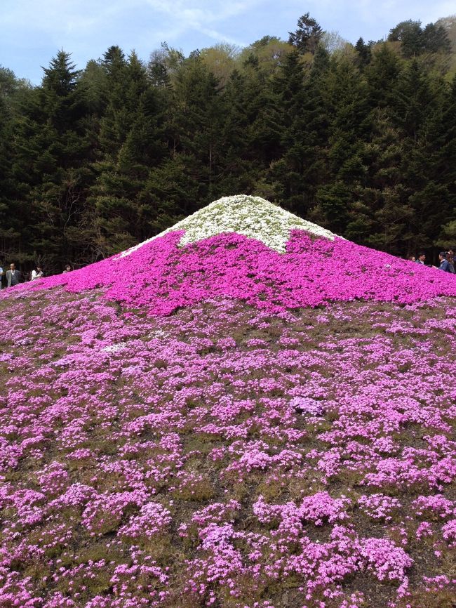 会場の奥のほうにミニ富士山♪