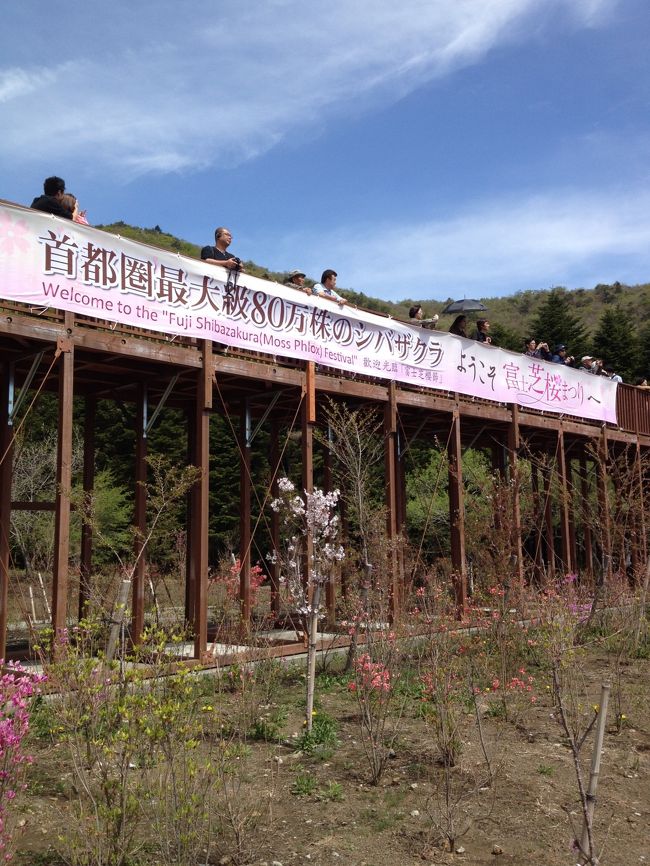 この橋の上から会場が見渡せました。<br />一度に乗れる人数があるので、係員の方が誘導してくれています。<br /><br />この橋に上がるのに結構待ちました。