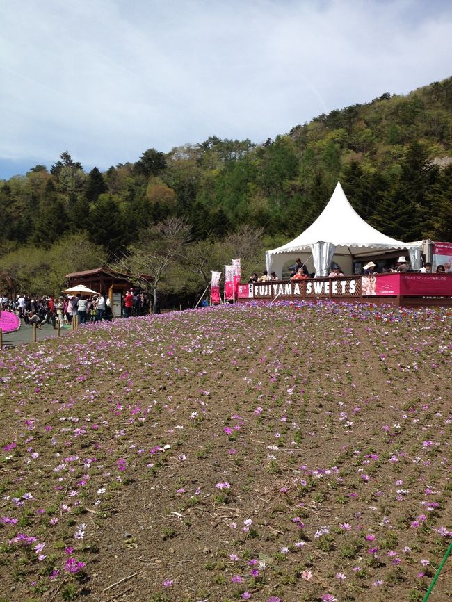 スイーツはいかが？