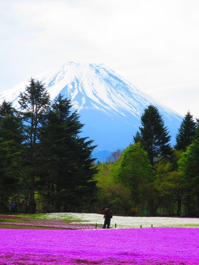 富士山三昧な景色〜〜。
