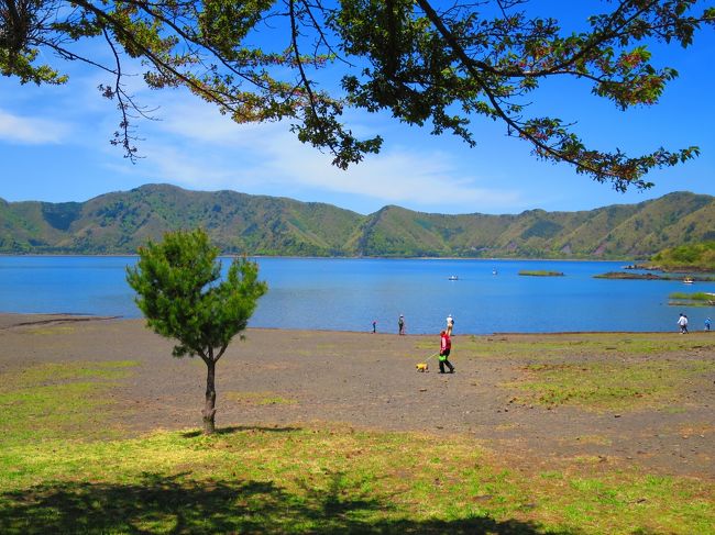 富士芝桜祭りを後に、本栖湖へ。