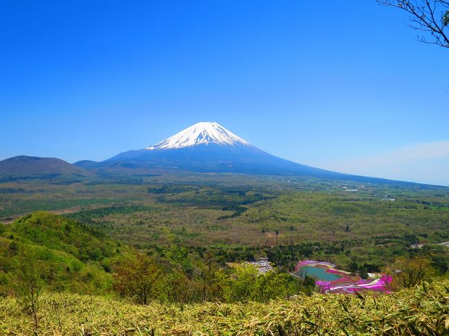 そんなワタシを前に進めさせたもの。<br /><br />この景色。<br />そしてすれ違いに声をかけてくれる皆様の励まし。<br /><br />「もう少ししたら芝桜もきれいに見えるわよ、頑張って〜！」