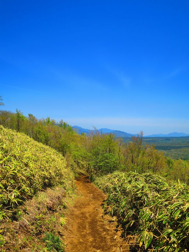 登り始めは急でした。<br />体が温まらないので、休み休み登ります。<br /><br />朝早くから登っていた方は既に降りてきています。<br /><br />登っていく途中から富士山が見えています。<br />登りが落ち着くと笹の道に出ます。<br />このあたりからずっと富士山を見ながら登っていけます。