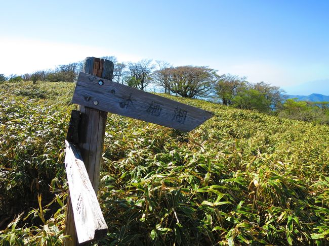 湖畔分岐までやってきました。<br />ここを右に行くと本栖湖への近道。<br />帰りはここを下りていくのが時間短縮になりそう。