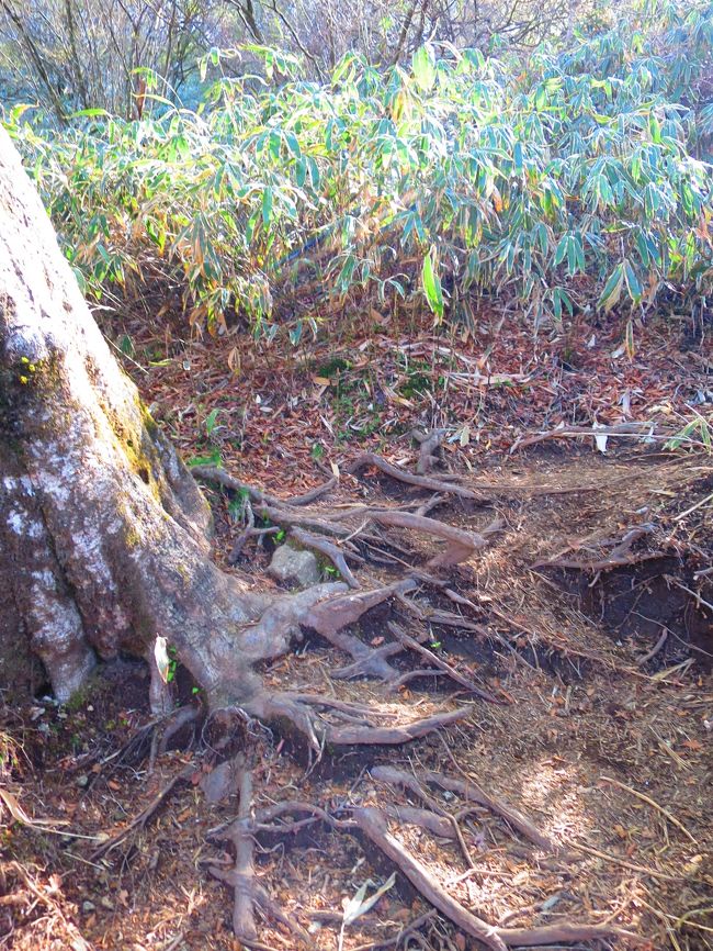 しかし足元はこんな感じなので、登り以上に気をつけて。<br />下山のときのほうが遭難や怪我が多いと聞きますので。