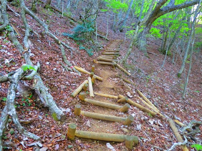 こちら側の登山道はところどころ崩れています。