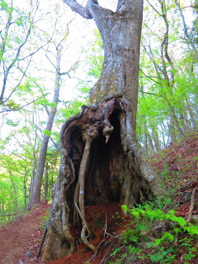 ととろのお家みたいじゃない?<br />