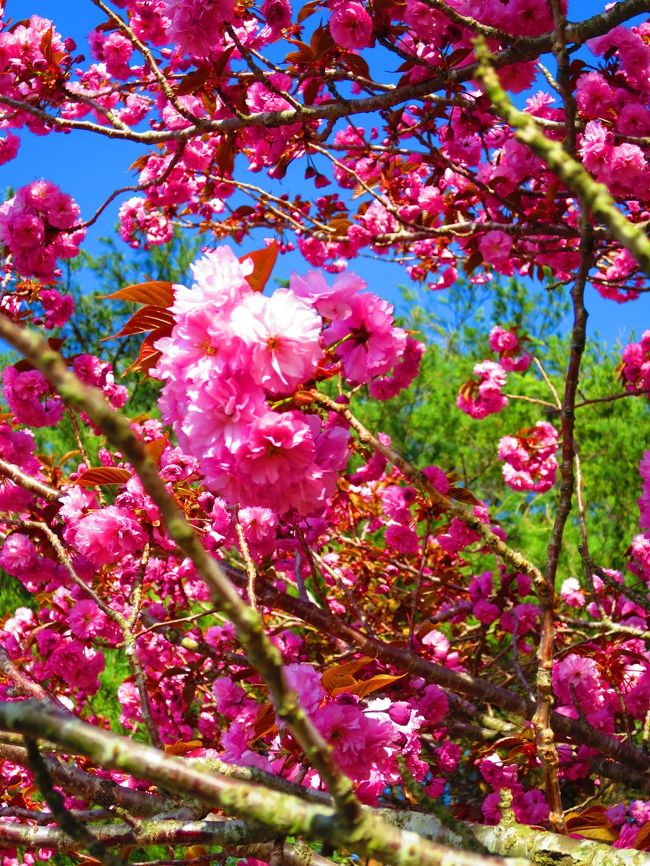 平地に戻ってくると安心するね。