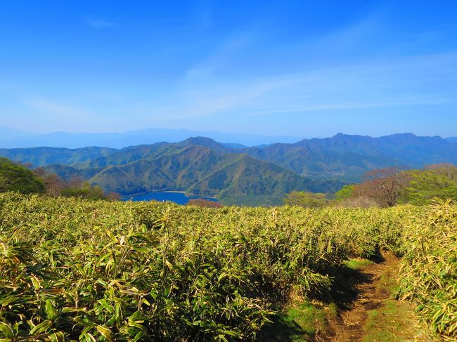 1時間ほどゆっくりしたら、下山開始。<br />午後になったら、急に風が冷たくなってきました！<br /><br />先ほどの湖畔分岐を本栖湖方面へ下りていきます。