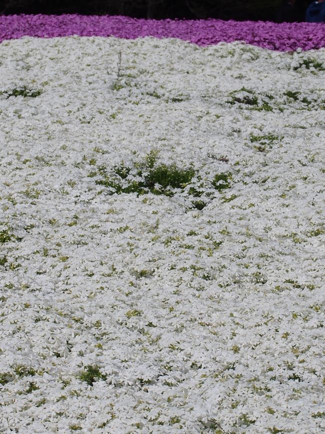 散策はこの辺にして･･･<br /><br />そろそろ帰りましょっか〜