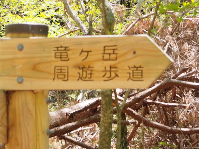 竜ヶ岳は標識もしっかりしていて、歩きやすそう。<br />最初は平坦な道を歩いていきます。