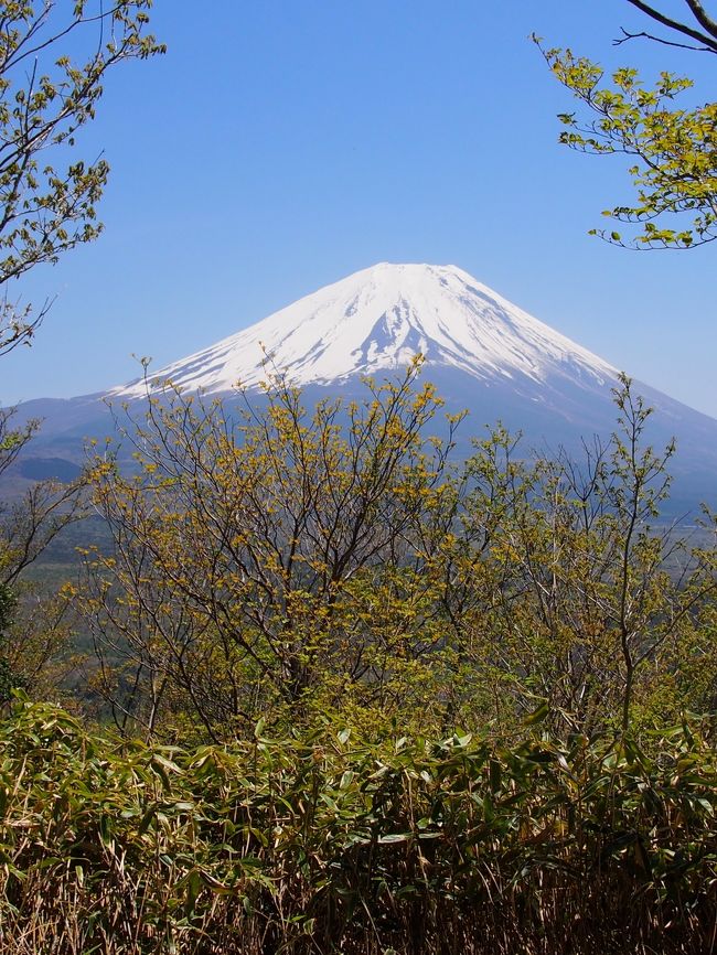 こんな感じ。<br /><br />雲も消えて富士山くっきり！<br /><br />稜線に出てきたら風が強くなってきました。<br />防風用のシェルを着込んで、さらに登りましょう。