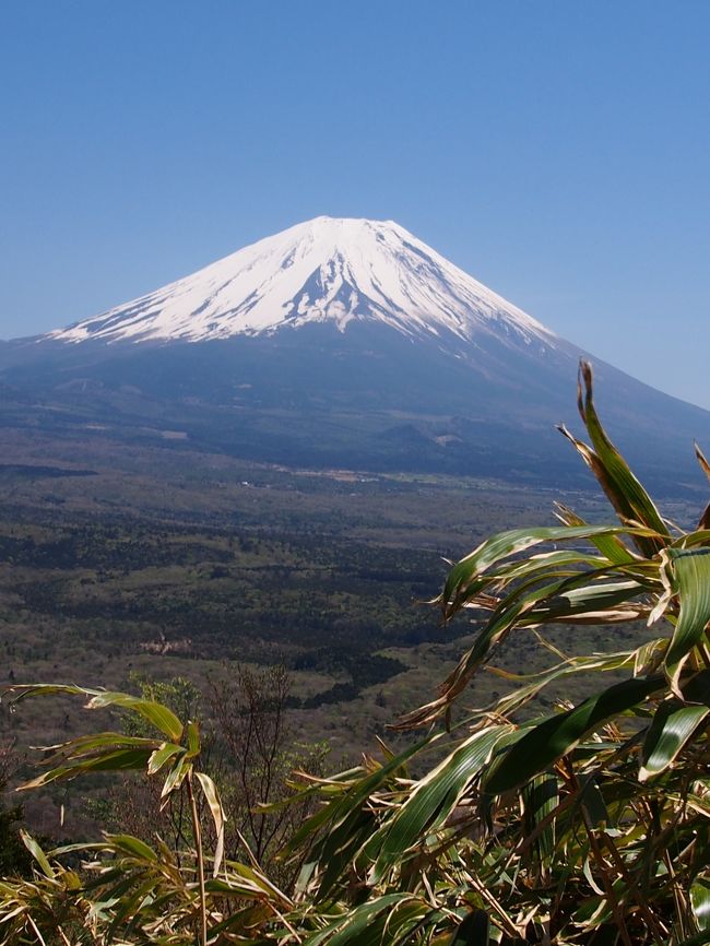 やっぱり頂上で、富士山を見たい！<br /><br />ここまで登ったんだからあと少し。<br />下山にかかる時間を考えても、何とかなりそう。