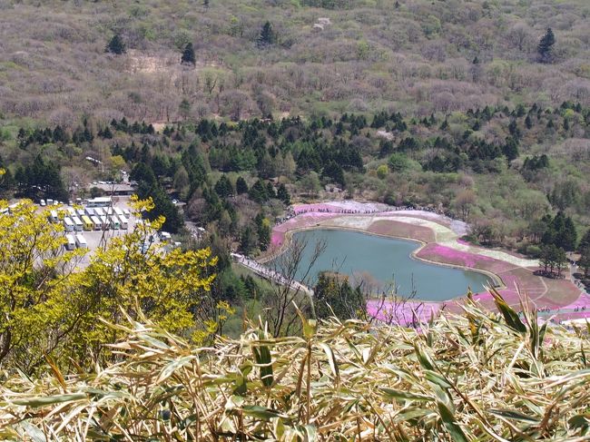 ほんとだぁ。<br /><br />さっきまでいた本栖リゾートがあんなに小さくまあるく見えてる。<br />こんなところまで登ってきたんだ。