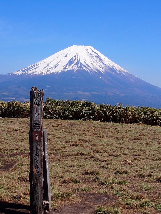 竜ヶ岳１４８５ｍ登頂。<br /><br />いや〜、我ながら頑張った。<br />登っているときは苦しいんだけど、登りきったときの<br />達成感があるから、登山は楽しいのかな。