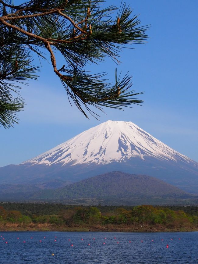 精進湖から富士山を眺めて、本当に今日は富士山三昧の日だったな。