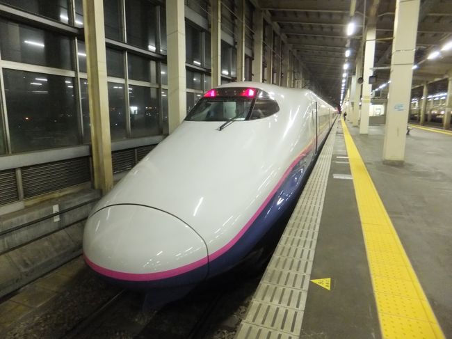 ここから新幹線に乗車します。18きっぷでは乗れないので別料金になります。