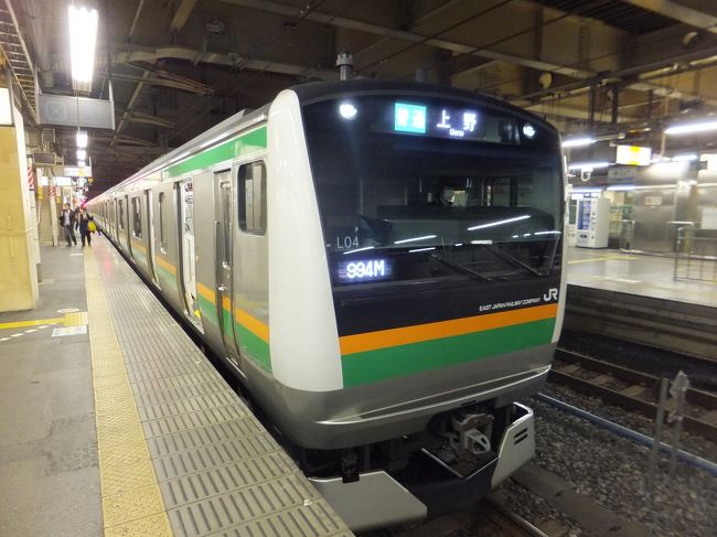 この日のラストランはこちらの電車。一気に東京まで。