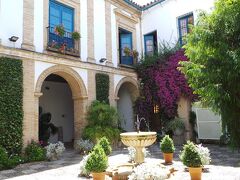-5-  Palacio de Viana ヴィアナ宮　　（コンクール外）
美しいパティオがいくつもある宮殿で、有料でいつでも見学可能です。
今回は、入り口部分のパティオと通りから見えたパティオを撮っただけ。