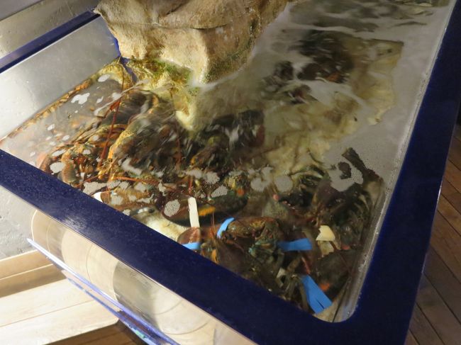 水槽には、ロブスターが泳いでいますが、これではありません！