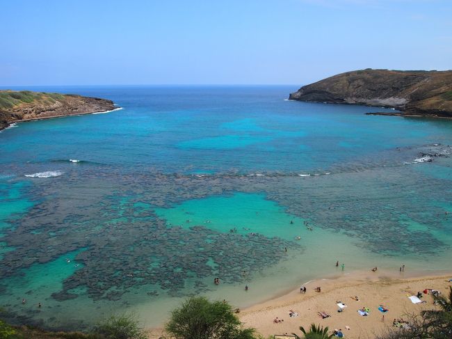 海に入っているときはわからなかったけど、浅瀬にサンゴの岩があり、大小の魚たちがたくさん見れました。