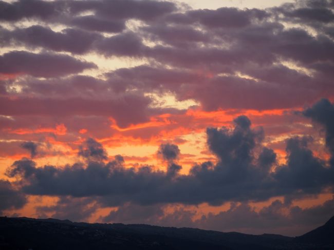 3日目の朝。<br />今日はダイヤモンドヘッド登頂へ<br />朝早いのでVIPツアーでツアーを申し込み。<br />6時前に陽が登ってきたのでゲート前から撮影することに。