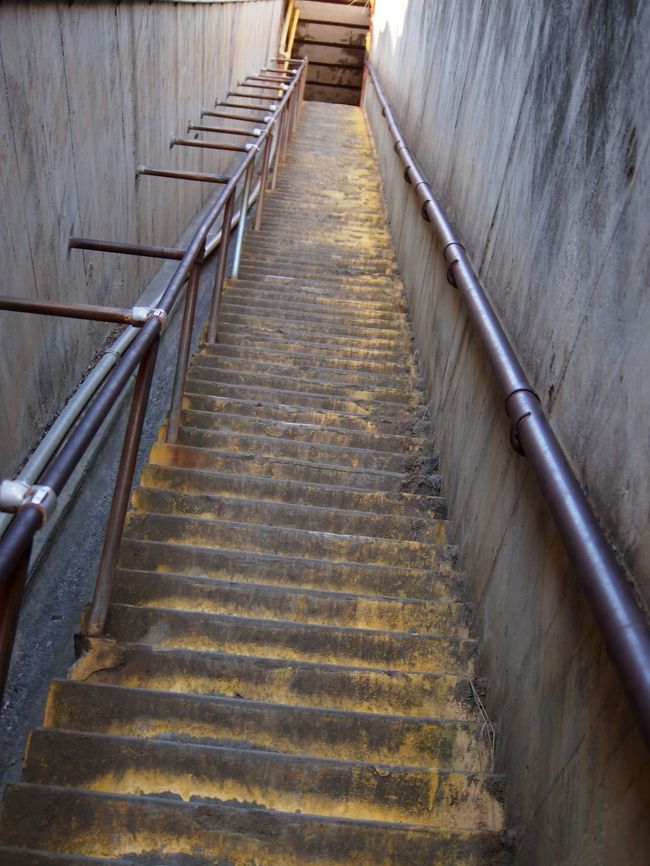 下りの途中、行きのこの階段がシンドイよね。