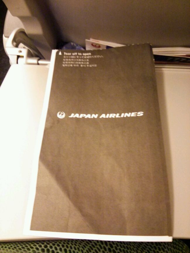 この飛行機、物凄く揺れて初めて飛行機にて乗車酔い!<br />うどんはあっさりしていたから、食べ物で気持ち悪くなったわけじゃなく、たぶんこの揺れが原因。<br />物凄く片頭痛はしてくるし、最悪な体調へ。<br />そして、吐きそうになり、客室乗務員の方と目が合ったので化粧室は？と聞くと<br />化粧室使用禁止なのでエチケット袋をお使い下さいと言われ、隣の席の人は知らない方だったけど(友達は私の前)、そんなこと気にしてられない。<br />万が一のときの為に、エチケット袋を片手に目をつぶっていたら知らない間に眠っていて、目が覚めたときには気持ち悪いのも収まっていました。