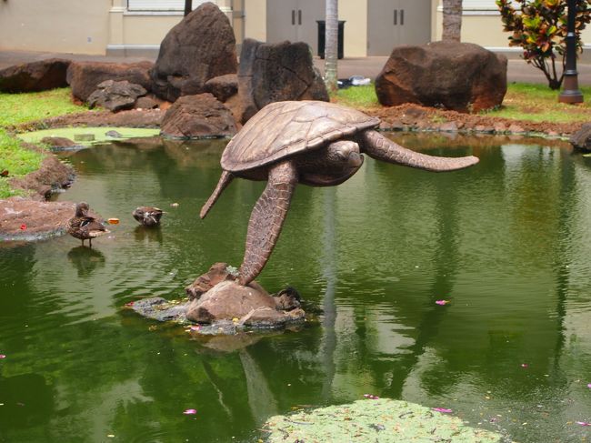 ダウンタウンのホヌ