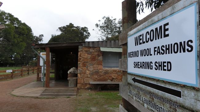 Yallingup Shearing Shedは羊の毛刈りをやシープドッグをみたり、羊毛や羊毛のニットを販売していたり、ファミリーや観光客によさそうなスポットだった。<br /><br /><br />◆詳しくはこちら<br />http://www.yallingupshearingshed.com.au/
