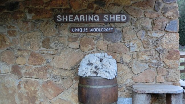 入り口に羊毛がディスプレイされていたけど、なんか羊の毛って油っぽいのね。<br /><br />店内は、外から見るより広かった。<br />シープスキンの敷物など、お土産を探すのにもいいかも。