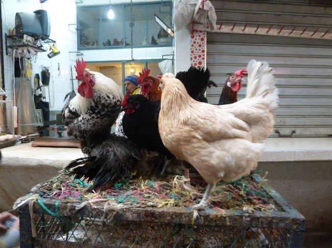 すぐそばで　鶏を売っていて・・・。