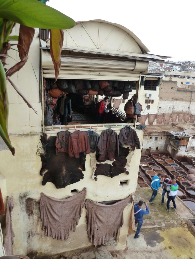 お店の隣の建物には　なめした皮がひらひらしていました<br /><br />そうそう　このお店の入り口でおじさんからプレゼントがありました<br />3・4本のフレッシュミントの束でした<br />これを鼻にくっつけて　説明を聞いてね!!とのことでした<br />なるほど　必要でした<br /><br />バブーシュ　とても素敵だし　お安かったのですが<br />私は　買いませんでした<br />日本では　カビが生えてしまうらしい?し<br />匂いに負けてしまいました　　