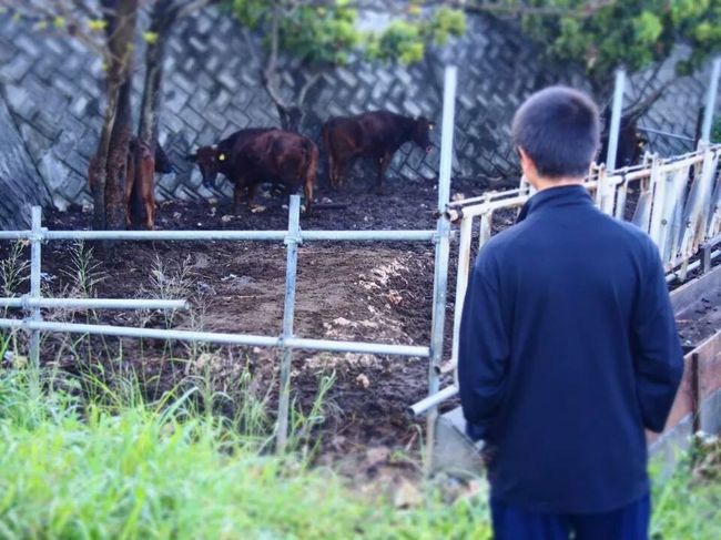 <br />牛さんもいたよ〜