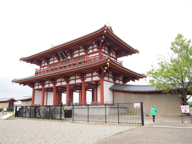 せっかく来たし、ありがたいことにボランティアのガイドさんがいらっしゃいましたのでお話を聞きました。<br /><br />日本で最初に作られた貨幣　和同開珎の頃だから和銅3年　西暦710年に、藤原京からこの平城京に都が移されました。モデルは長安の城。1/8のサイズだそうです。<br />この朱雀門から大極殿までが平城宮で、ここからまっすぐ南に伸びるメインストリートを中心に、碁盤の目のように道が上下左右に並んでいたとのこと。710年に遷都されてから長岡に都が移るまでの75年間、平城宮は作り変えられ続け、その間も2回都を移しましたが、建物はその度に移築してるそう。すごいな。。<br /><br />私はこの復原が、発掘された柱の位置で大体の大きさはわかるとしても、屋根の大きさや形までどうしてこの姿にできたのか不思議でそれを質問すると、屋根の大きさは雨だれの後から予測でき、あとは当時主立った建築様式からこのような形になったということでした。また、まだ発掘調査は続くしこの復原したものの下から何がでてくるのかは未だ未知なので、建物は軽くできてるそうで、しかし耐震はしっかりしてるとのことでした。<br /><br />ボランティアさんですが、今回この朱雀門と大極殿の方にお話を聞きましたが、やはり歴史好きの方たちなので泉のようにお話が次から次へと湧いてきます。<br />私も自分の知ってることを再確認できありがたかったですが、女性のボランティアさんだと世間話のようになったり脱線したりするので、時間のない方は注意が必要かも。