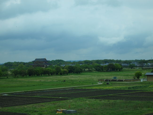 バスの中から。この辺は田んぼなのですね。<br />遠くに大極殿が見えます。